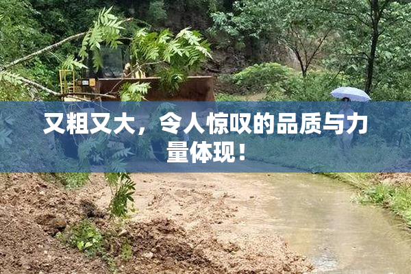 又粗又大，令人惊叹的品质与力量体现！