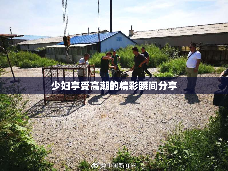 少妇享受高潮的精彩瞬间分享