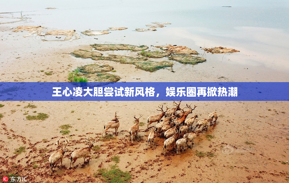 王心凌大胆尝试新风格，娱乐圈再掀热潮