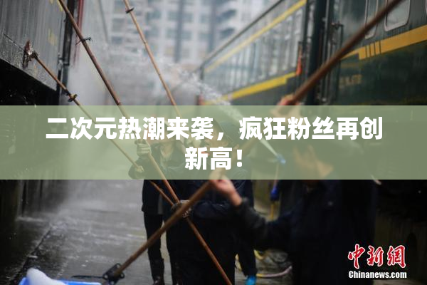 二次元热潮来袭，疯狂粉丝再创新高！