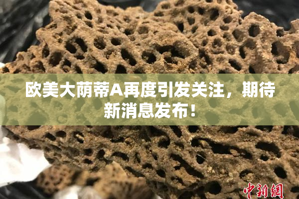 欧美大荫蒂A再度引发关注，期待新消息发布！
