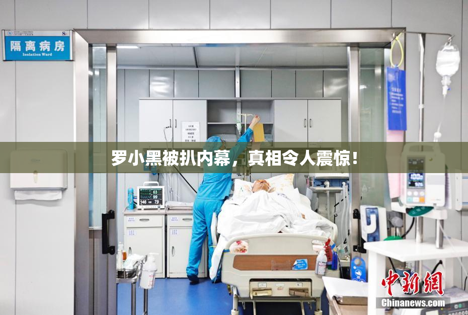 罗小黑被扒内幕，真相令人震惊！