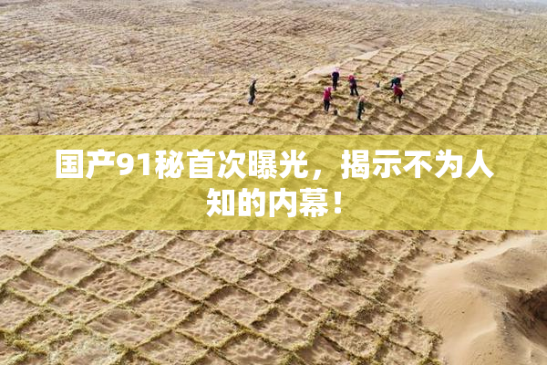 国产91秘首次曝光，揭示不为人知的内幕！