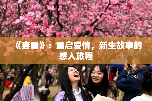 《妻重》：重启爱情，新生故事的感人旅程