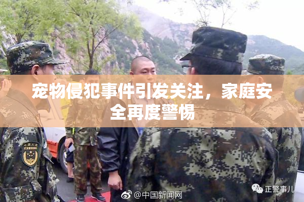 宠物侵犯事件引发关注，家庭安全再度警惕