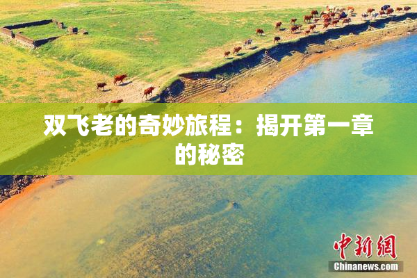 双飞老的奇妙旅程：揭开第一章的秘密