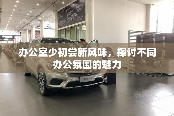 办公室少初尝新风味，探讨不同办公氛围的魅力