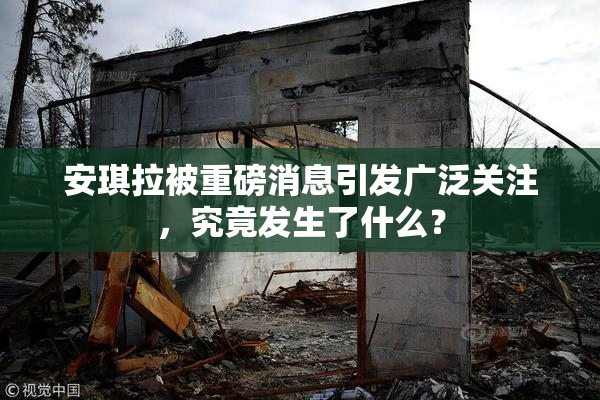 安琪拉被重磅消息引发广泛关注，究竟发生了什么？