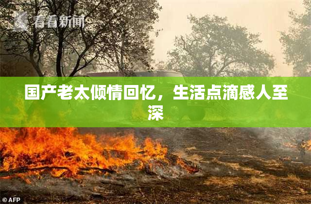国产老太倾情回忆，生活点滴感人至深