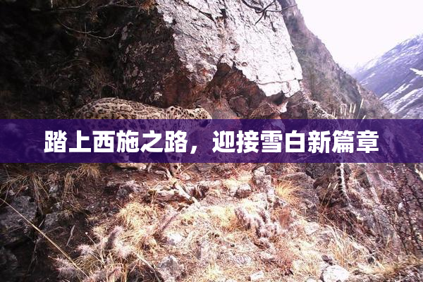 踏上西施之路，迎接雪白新篇章