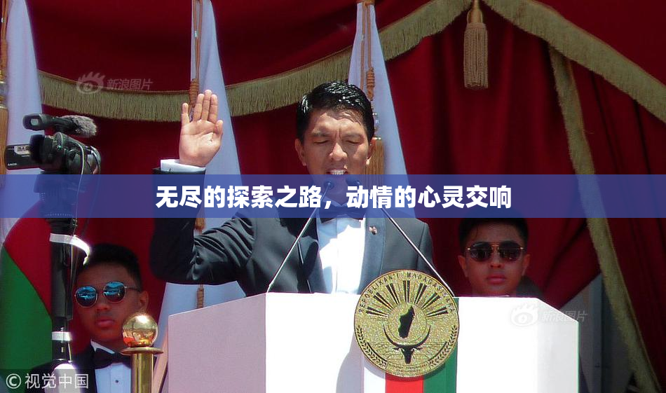 无尽的探索之路，动情的心灵交响
