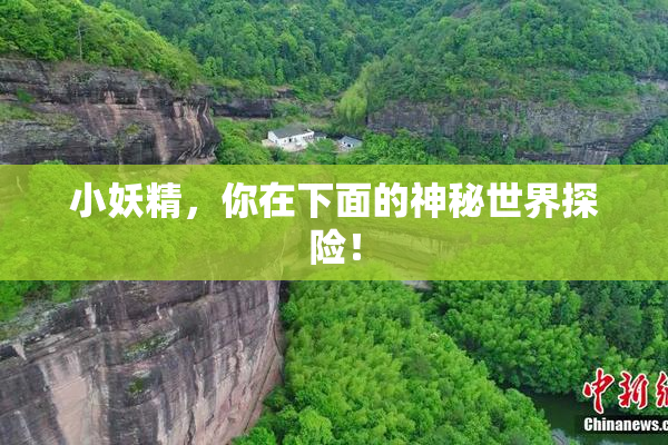 小妖精，你在下面的神秘世界探险！