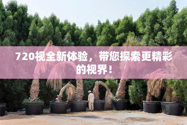 720视全新体验，带您探索更精彩的视界！