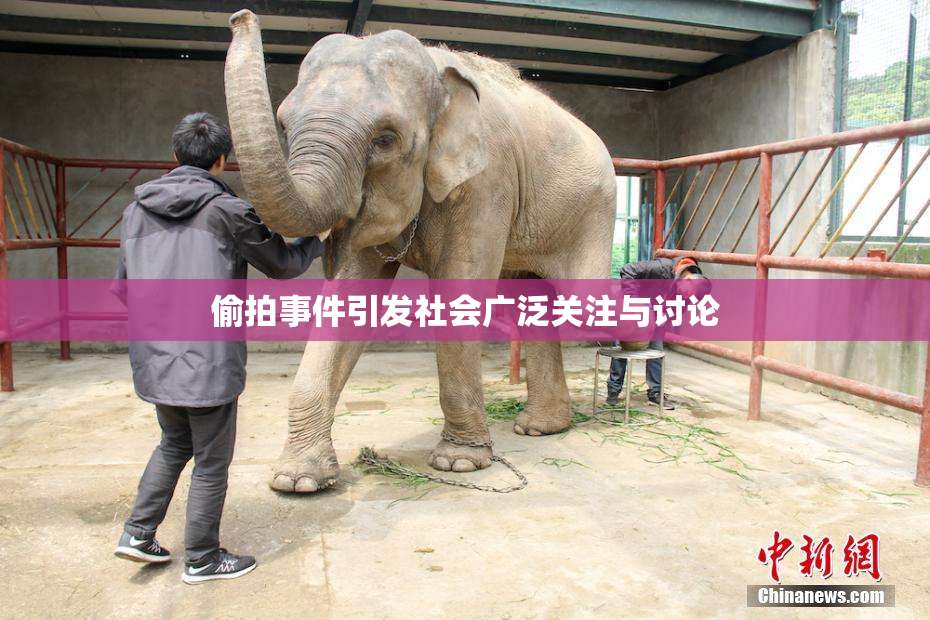偷拍事件引发社会广泛关注与讨论