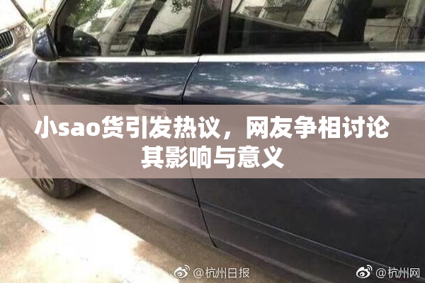 小sao货引发热议，网友争相讨论其影响与意义