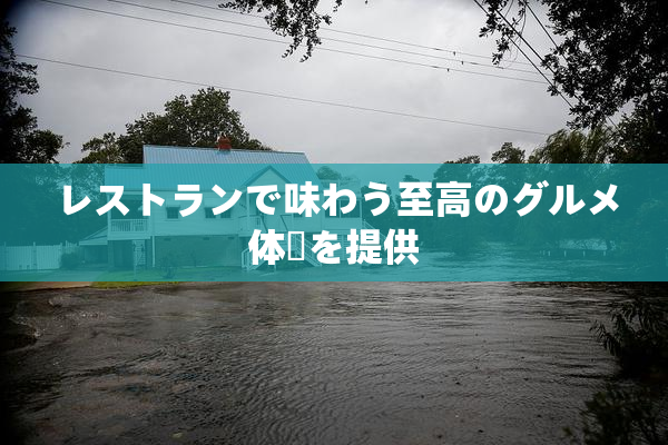 レストランで味わう至高のグルメ体験を提供