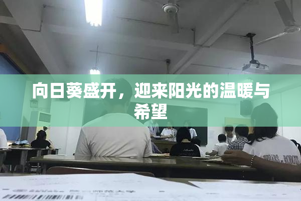 向日葵盛开，迎来阳光的温暖与希望