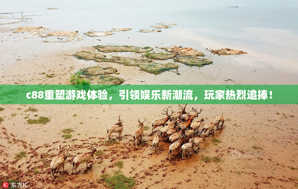c88重塑游戏体验，引领娱乐新潮流，玩家热烈追捧！