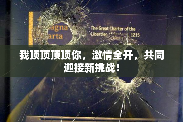 我顶顶顶顶你，激情全开，共同迎接新挑战！