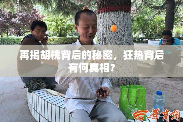 再揭胡桃背后的秘密，狂热背后有何真相？
