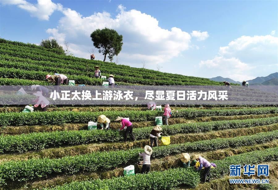 小正太换上游泳衣，尽显夏日活力风采
