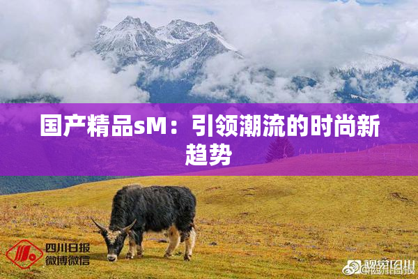 国产精品sM：引领潮流的时尚新趋势