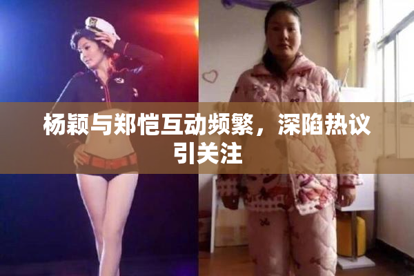 杨颖与郑恺互动频繁，深陷热议引关注