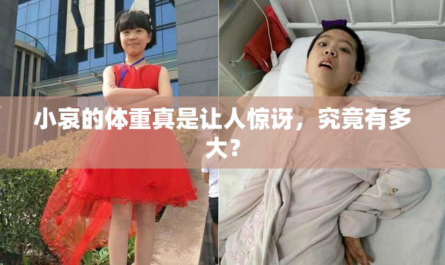 小哀的体重真是让人惊讶，究竟有多大？