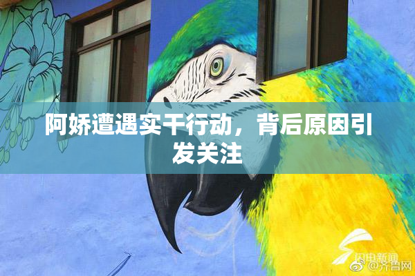 阿娇遭遇实干行动，背后原因引发关注