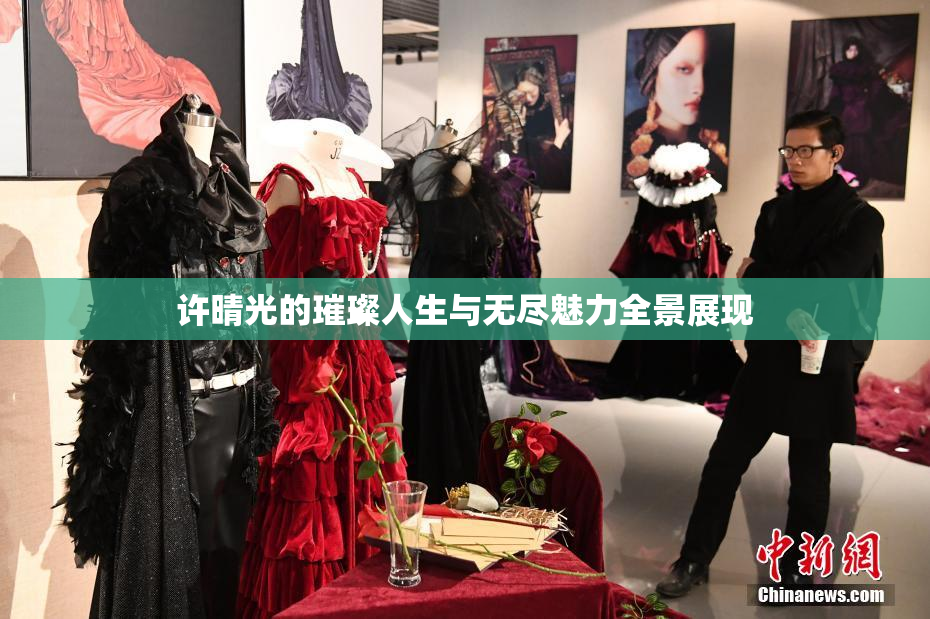 许晴光的璀璨人生与无尽魅力全景展现