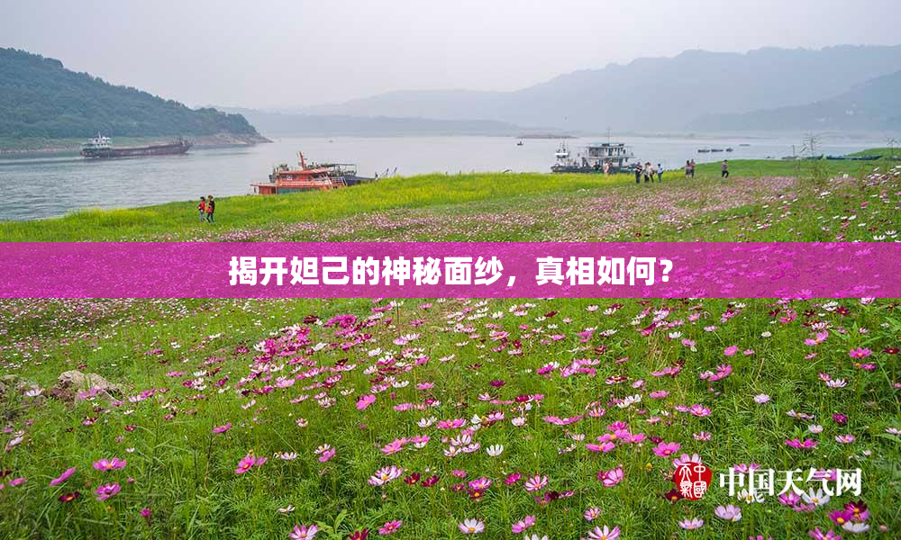 揭开妲己的神秘面纱，真相如何？