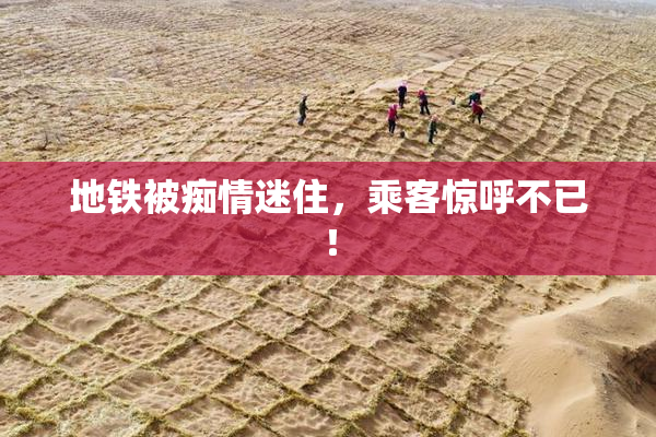 地铁被痴情迷住，乘客惊呼不已！