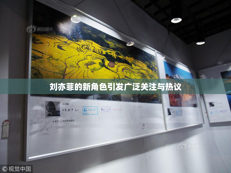 刘亦菲的新角色引发广泛关注与热议