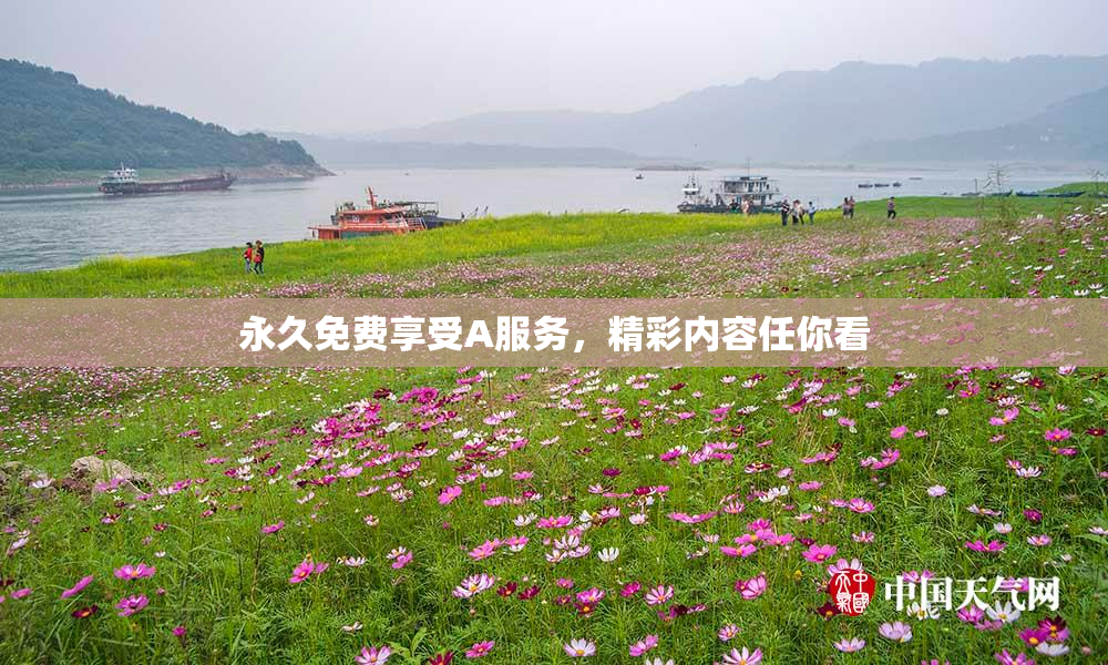 永久免费享受A服务，精彩内容任你看