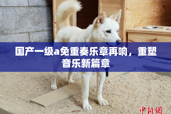 国产一级a免重奏乐章再响，重塑音乐新篇章