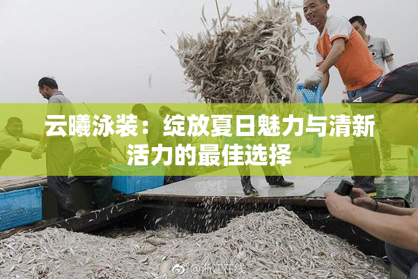 云曦泳装：绽放夏日魅力与清新活力的最佳选择
