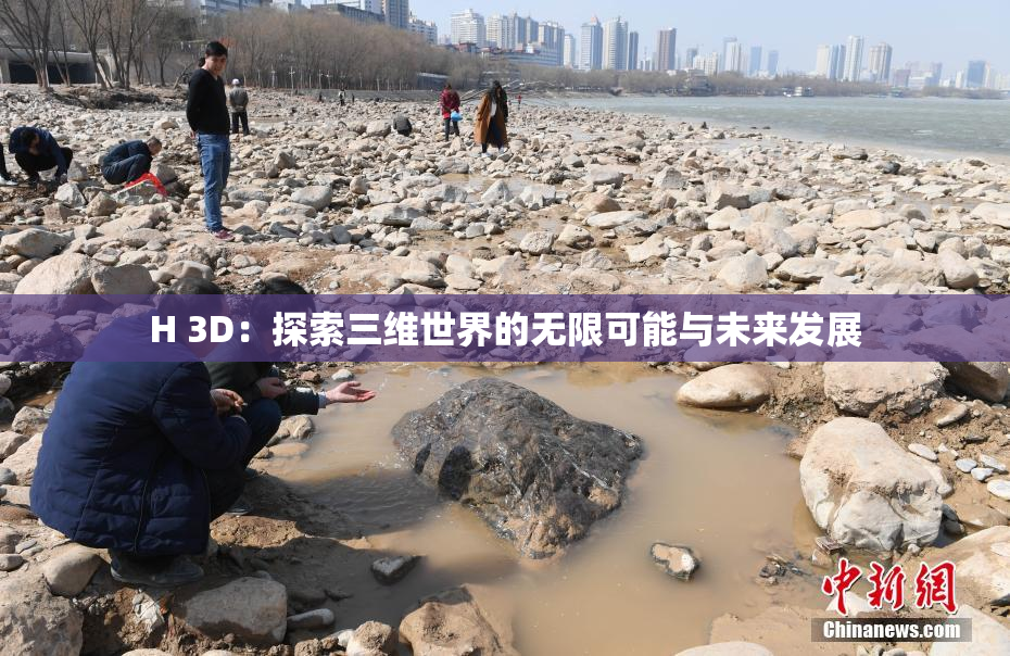 H 3D：探索三维世界的无限可能与未来发展