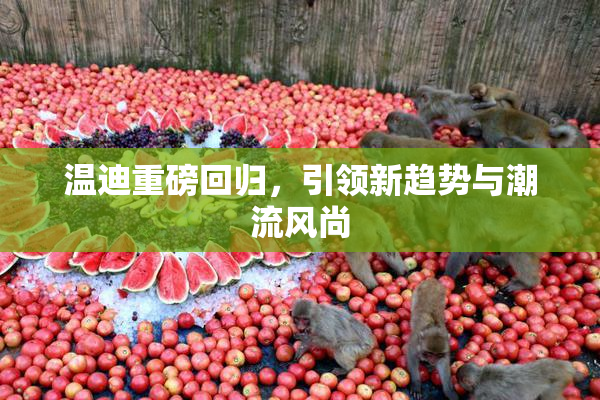 温迪重磅回归，引领新趋势与潮流风尚