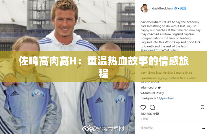 佐鸣高肉高H：重温热血故事的情感旅程