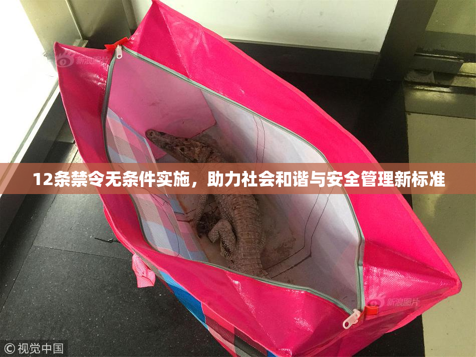 12条禁令无条件实施，助力社会和谐与安全管理新标准