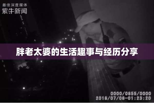 胖老太婆的生活趣事与经历分享
