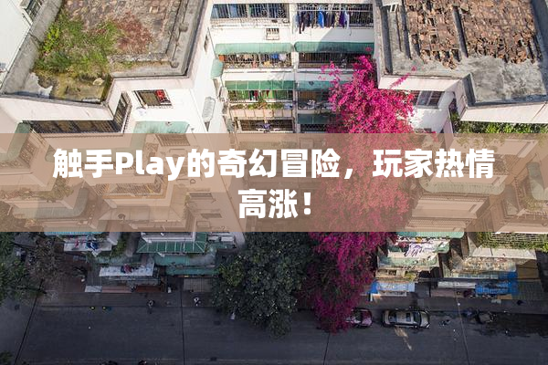 触手Play的奇幻冒险，玩家热情高涨！