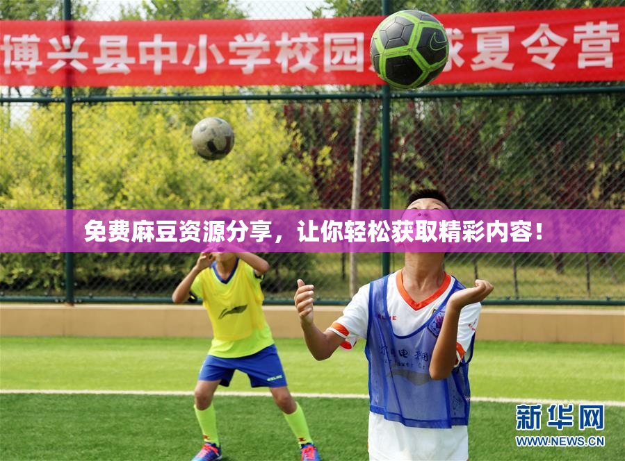 免费麻豆资源分享，让你轻松获取精彩内容！