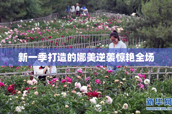 新一季打造的娜美逆袭惊艳全场