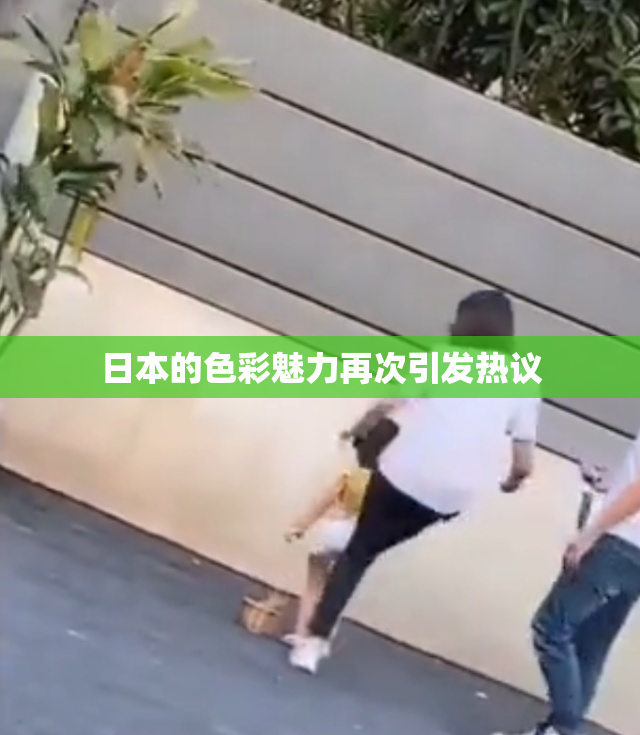 日本的色彩魅力再次引发热议