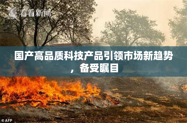 国产高品质科技产品引领市场新趋势，备受瞩目