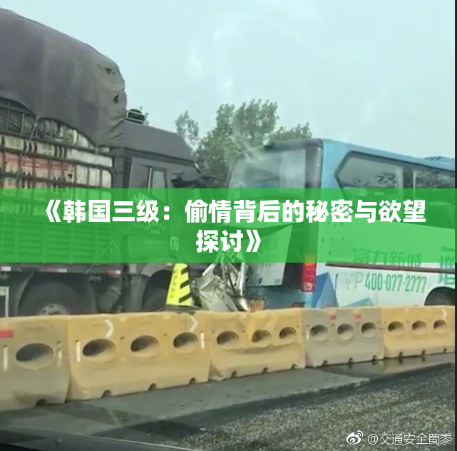 《韩国三级：偷情背后的秘密与欲望探讨》