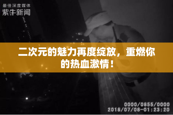 二次元的魅力再度绽放，重燃你的热血激情！