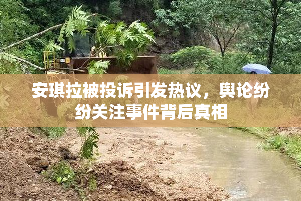 安琪拉被投诉引发热议，舆论纷纷关注事件背后真相