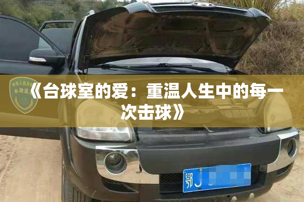 《台球室的爱：重温人生中的每一次击球》